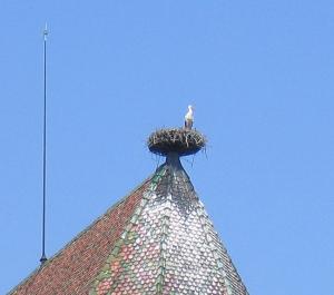 Церковь (собор) Св. Мартина, Кольмар, Франция