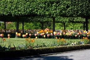 Сады Burggarten в Нюрнберге, Германия