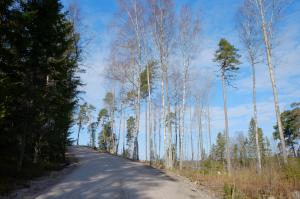 Дорога к музею-усадьбе Виттреск, Киркконумми, Финляндия