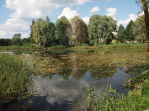 Река Гайна, Логойск, Беларусь (Белоруссия)