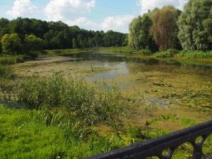 Река Гайна, Логойск, Беларусь (Белоруссия)