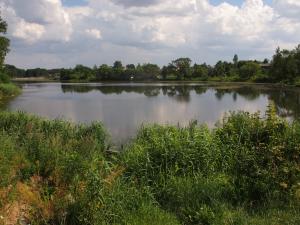 Река Гайна в Логойске, Логойск, Беларусь (Белоруссия)