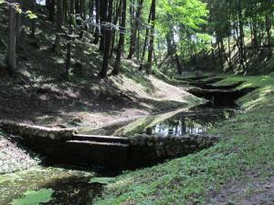 Парк Тышкевичей, Логойск, Беларусь (Белоруссия)