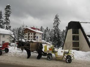 Горнолыжный курорт Боровец, Болгария