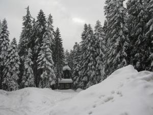 Горнолыжный курорт Боровец, Болгария