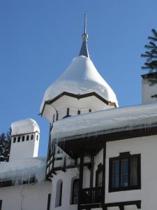 Дворец Царска Бистрица, Боровец, Болгария