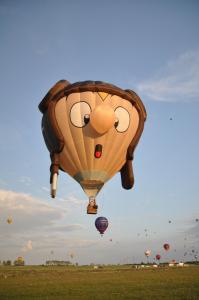 Фестиваль воздушных шаров в Шато-д'Оэкс, Швейцария