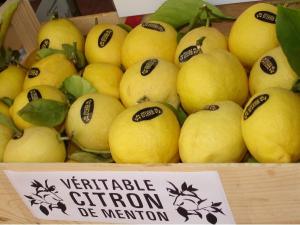 Лимоны из Ментоны, Франция