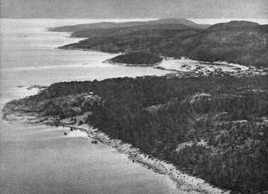 Виды острова Гогланд на старых фото