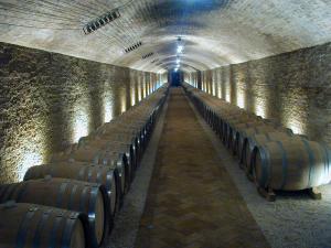 Пьемонтские вина, винодельня Barolo