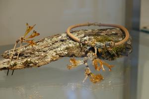 Анастасия Прибельская. Колье и шпилька Parmelia из коллекции Cladonia