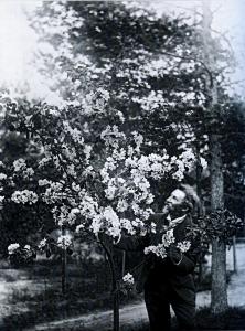 Репин у цветущей яблони (ок. 1909)