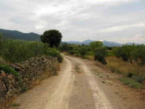 Дорога к монастырю Поблет, Каталония, Испания