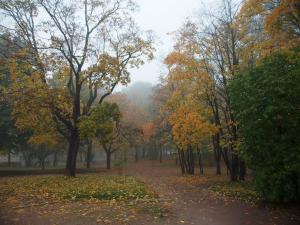 Парк-эспланада в тумане, Выборг, Россия